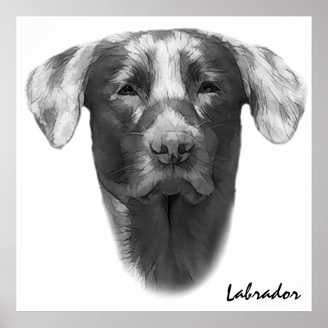 Labrador Dog classic Poster (Front)