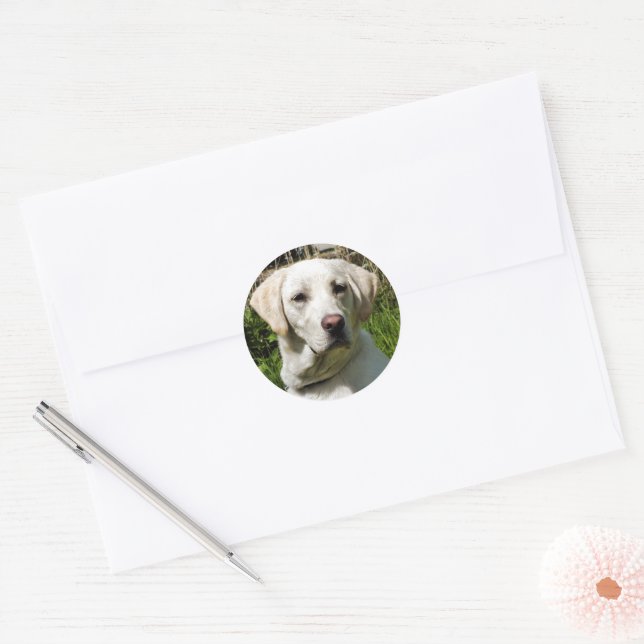 LABRADOR DOG CLASSIC ROUND STICKER (Envelope)