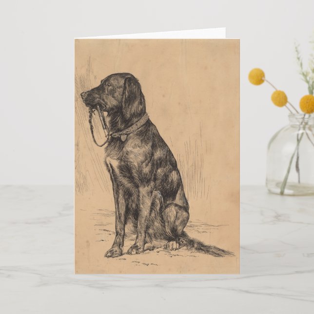 Labrador dog drawing  thank you card (Front)