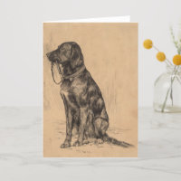 Labrador dog drawing