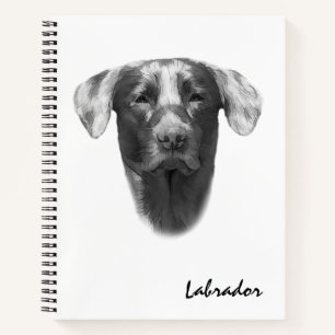 Labrador Dog elegant Notebook