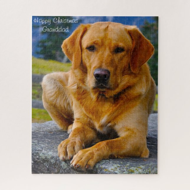 Labrador Dog. Jigsaw Puzzle (Vertical)