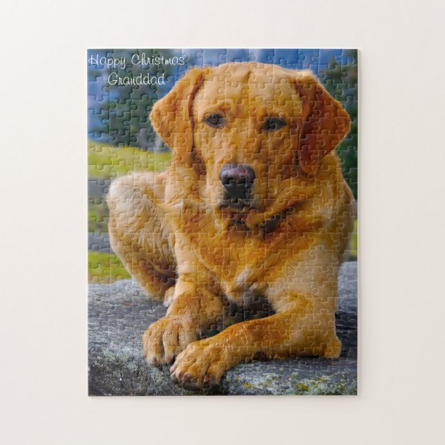 Labrador Dog. Jigsaw Puzzle (Vertical)