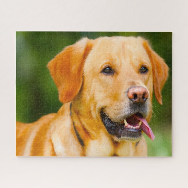 Labrador Dog. Jigsaw Puzzle (Horizontal)