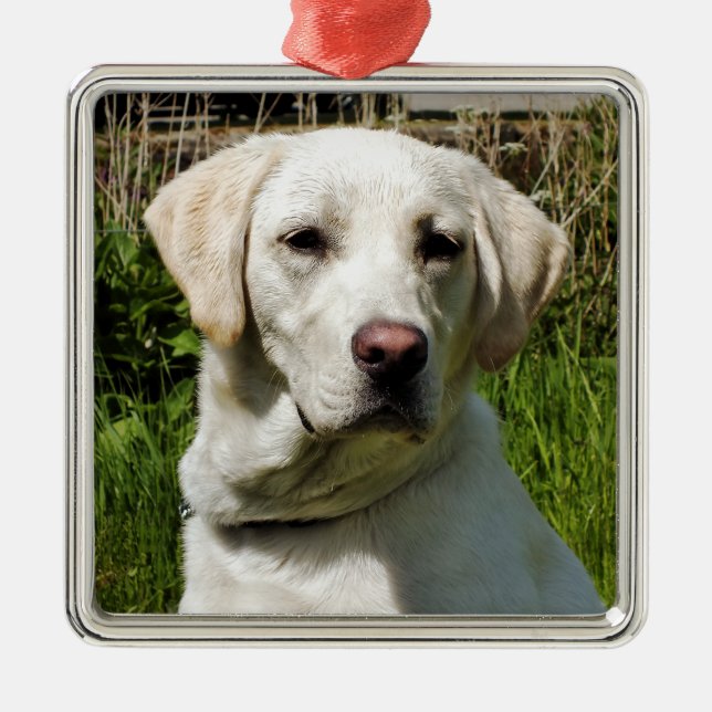 LABRADOR DOG METAL TREE DECORATION (Front)
