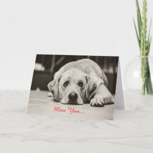 Labrador Dog Miss you Greeting Card