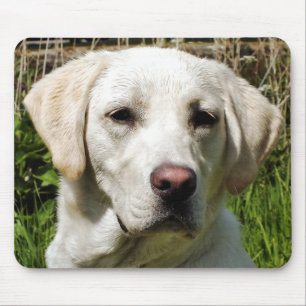 LABRADOR DOG MOUSE MAT