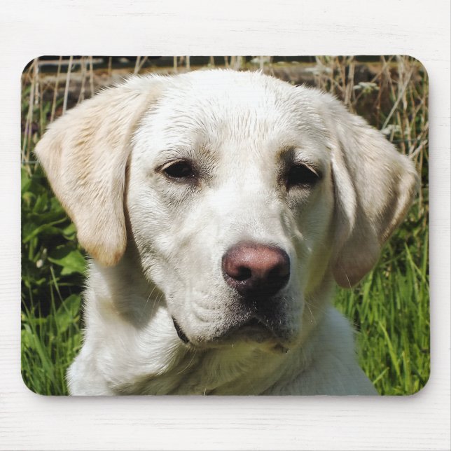 LABRADOR DOG MOUSE MAT (Front)