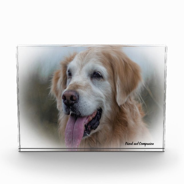 Labrador Dog. Photo Block (Front)