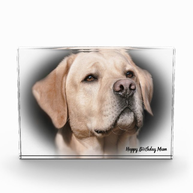 Labrador Dog Photo Block (Front)