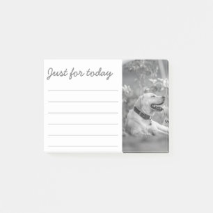 LABRADOR DOG RELAXING POST-IT NOTES