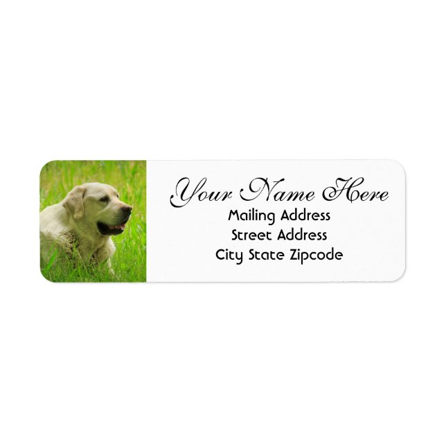 Labrador Dog Return Address (Front)