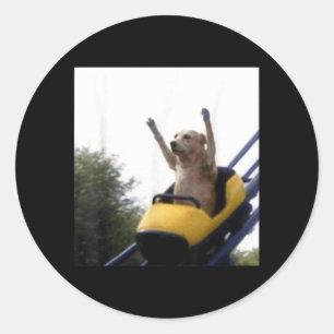 Labrador Dog Roller Coaster Funny Meme Classic Round Sticker