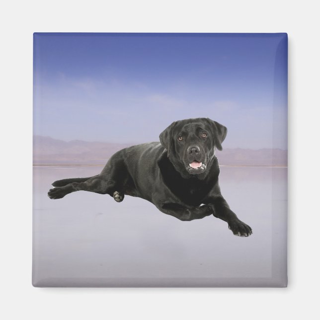 Labrador Dog Sitting on Beach Magnet (Front)