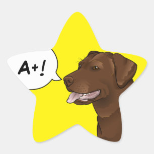 Labrador Dog Teacher Good Grade Reward Star Sticker
