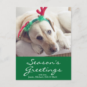 Labrador dog with Christmas ears Holiday Postcard