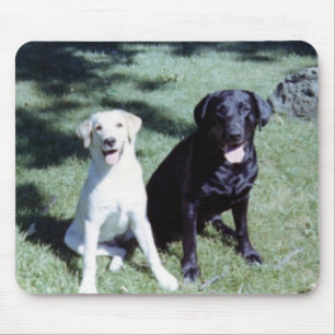 Labrador Dogs Mouse Mat