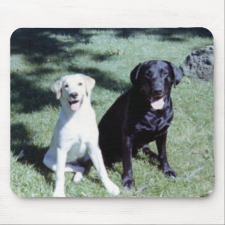 Labrador Dogs Mouse Mat