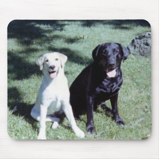 Labrador Dogs Mouse Mat (Front)