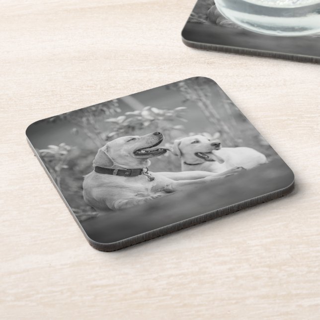 LABRADOR DOGS RELAXING COASTER (Left Side)