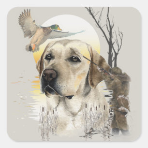 Labrador, duck hunting square sticker