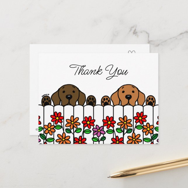 Labrador Duo Watching You Thank You Postcard (Front/Back In Situ)