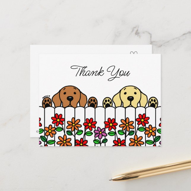 Labrador Duo Watching You Thank You Postcard (Front/Back In Situ)