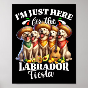Labrador fiesta here for cinco de mayo labrador poster