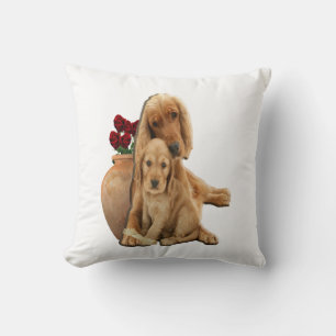 Labrador gifts cushion