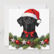 Labrador Greeting Card