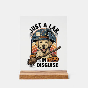 Labrador Halloween Shirt Vintage Witch Dog Costume Acrylic Sign