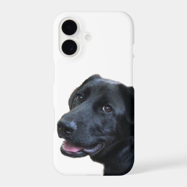 Labrador Love (Back)