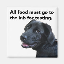Labrador Love