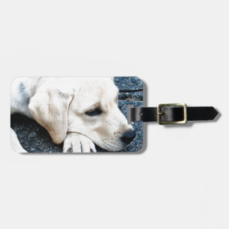 Labrador Luggage Tag