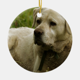 Labrador Photo Ceramic Tree Decoration