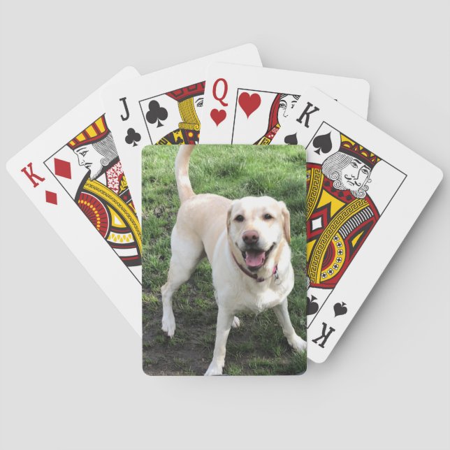Labrador Playing Cards (Back)