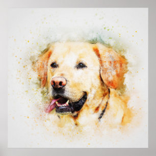 Labrador Poster