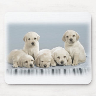 Labrador puppies mouse mat