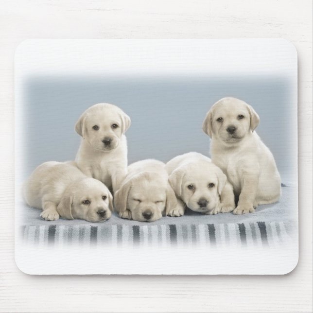 Labrador puppies mouse mat (Front)