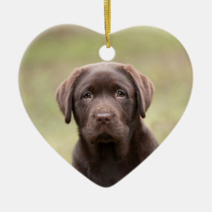 Labrador Puppy Ceramic Tree Decoration