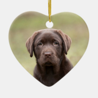 Labrador Puppy Ceramic Tree Decoration