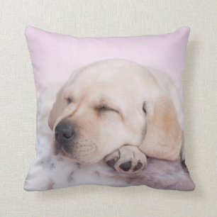 Labrador puppy cushion