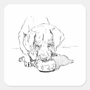 Labrador Puppy for Dog Lover Square Sticker