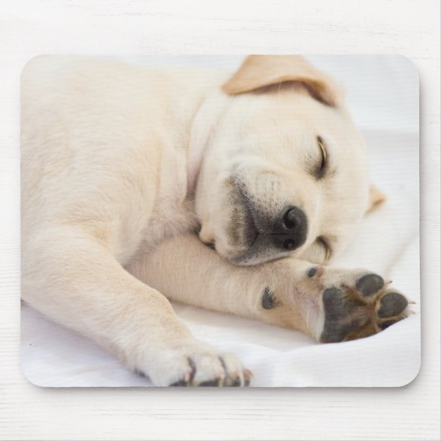 Labrador puppy mouse mat (Front)