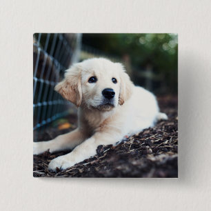 Labrador Puppy Playing In The Garden 15 Cm Square Badge