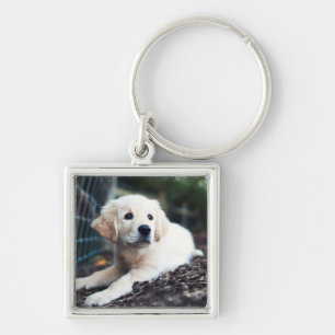 Labrador Puppy Playing In The Garden Key Ring