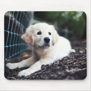 Labrador Puppy Playing In The Garden Mouse Mat