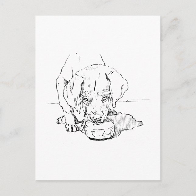 Labrador Puppy Postcard for Dog Lover (Front)