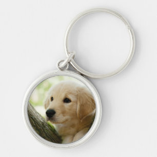 Labrador Puppy Sitting In A Woodland Setting Key Ring