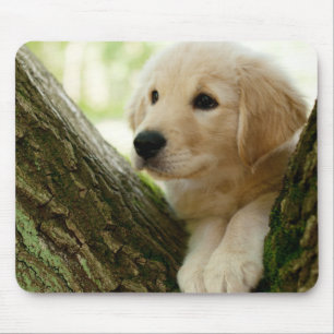 Labrador Puppy Sitting In A Woodland Setting Mouse Mat